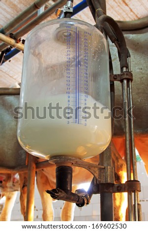 glass milk storage tank in a milking workshop, luannan county, china