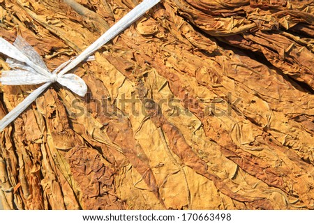 closeup of photo, dry tobacco leaves in the market, north china