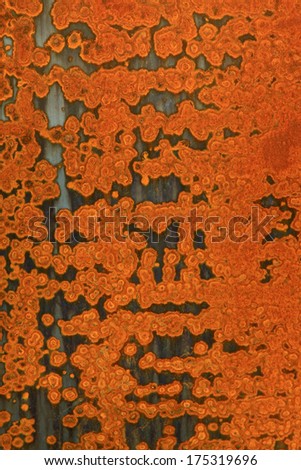 brown rust on the steel plate, closeup Of photo