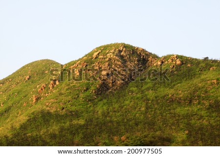 mountain spring scenery in the wild, closeup of photo