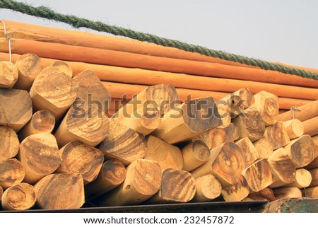 timber piled up together, closeup of photo