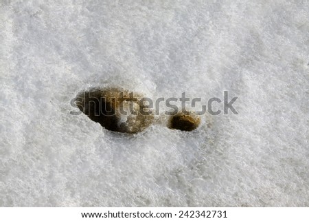 shoes print on ice and snow, closeup of photo