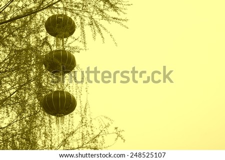 red lantern on the tree, north china