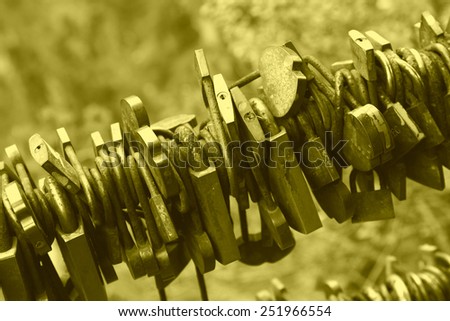 clusters of rusty lock together in a scenic area, China