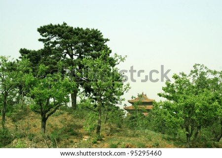 chinese ancient architecture landscape, close up of pictures, Eastern Qing Tombs, Zunhua County, Hebei, china.