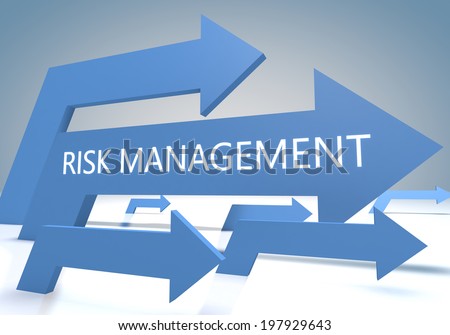 Risk Management and Insurance write eassy Risk Management and Insurance write eassy