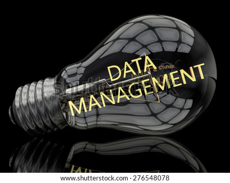Data Management - lightbulb on black background with text in it. 3d render illustration.