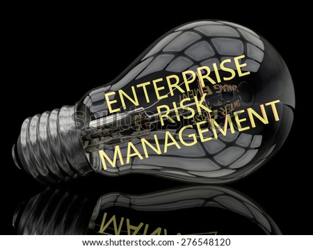 Enterprise Risk Management - lightbulb on black background with text in it. 3d render illustration.