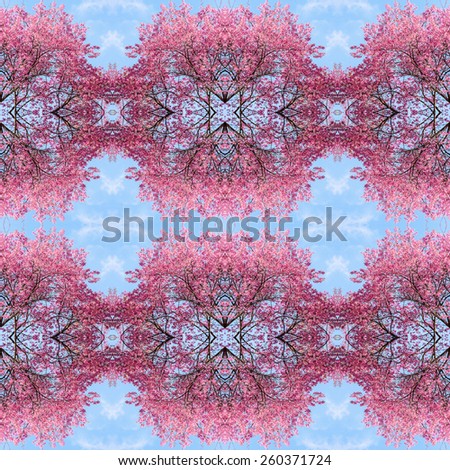 Abstract cherry blossoms pattern background.
