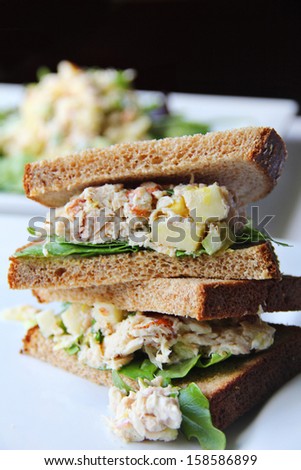 tuna salad sandwich