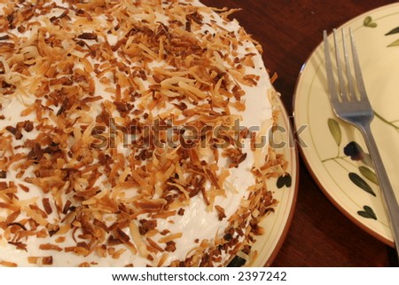 toasted coconut cake whole upclose