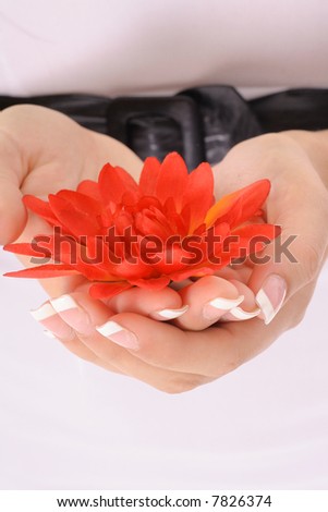 beautifully manicured hands holding a flowers vertical