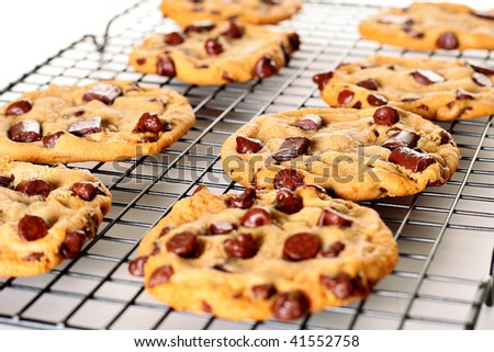 chocolate chip cookies on cooling rack