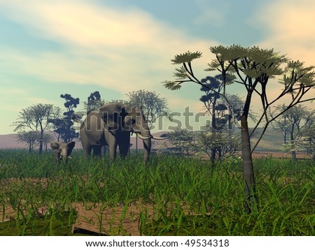 mother and child elephants in savanna