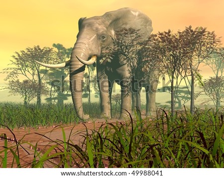 gigant elephant in savanna