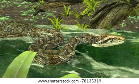 Amazon Python In Water Stock Photo 78135319 : Shutterst