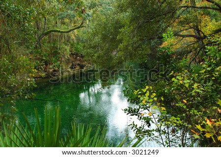 Blue springs State park Florida