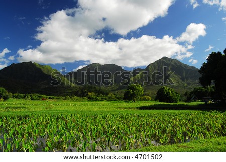 Mount Hawaii