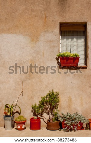 a wall and a window with plants on sunny  side in summer Spain
