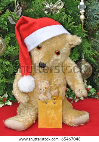 Two teddy bears in Christmas setting.