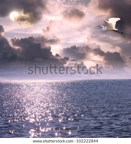 Beautiful white egret flying over the ocean under the moon light