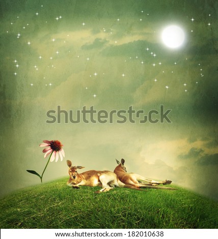 Kangaroo couple relaxing on a hilltop under the moon