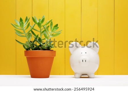 White Piggy Bank Beside Small Green Plant on a Pot with Yellow Wooden Wall Background
