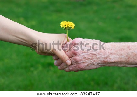 Young and senior\'s hand holding a dandelion