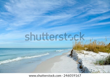 Beautiful Sand Dunes and Sea Oats on the Coastline of Anna Maria Island, Florida