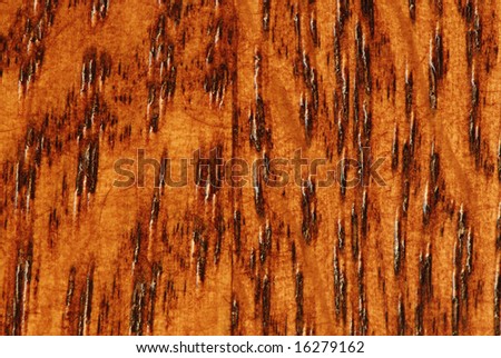 Macro of Oak Wood Grain