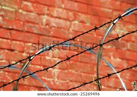 Security Fence with Razor and Barb Wire against a Brick Wall