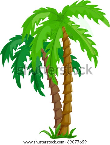 Vector Tropical Palm Trees Isolated On White Background Illustration