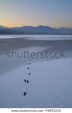 frozen lake ( small lake - Avigliana, Turin - Italy )