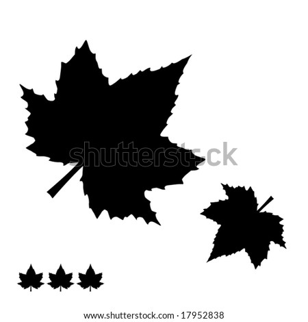 Maple Leaf Silhouette