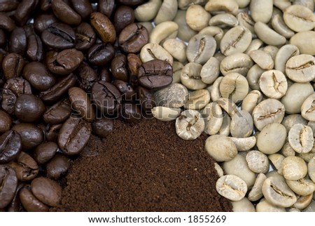 Three stages of the coffee bean; green; Roasted; Ground