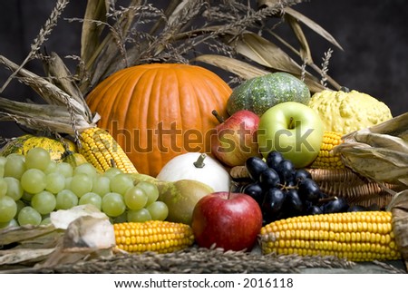 An assortment of autumn fruits provide a colorful display