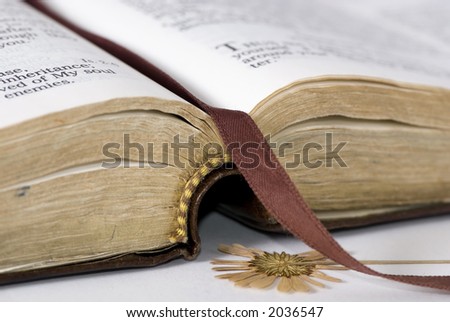 A well used bible lays open with a pressed flower as a marker of years gone by.