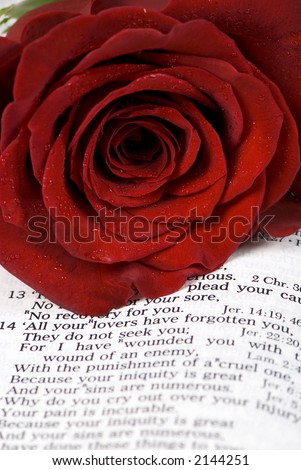 An open bible with a single red rose...  lost love