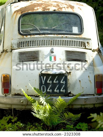 An old abandon car sits amongst the ferns. Only hints of it former glory remain. (plate number has been changed to all 444\'s)