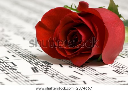 A complicated musical piece with a single rose on top. Representing the love of music, the simplicity of music and also the complexity.