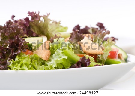 A fresh garden salad with lots of vegetables. on white