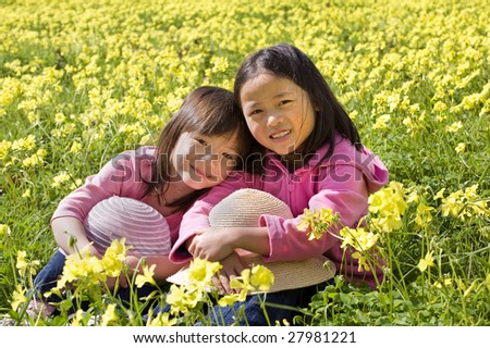 yellow flowers field. in a yellow flower field
