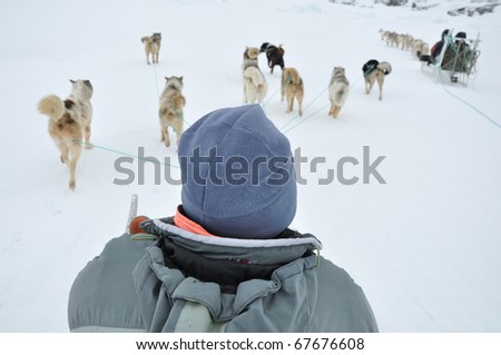 Freedom of dog sledging near the Kulusuk village, winter,Greenland