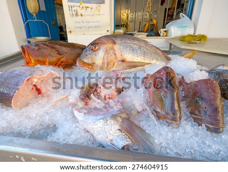 SPETSES, GREECE - JUN 21, 2014: Fresh big fishes in the local market in Spetses island in Greece on Jun 21, 2014