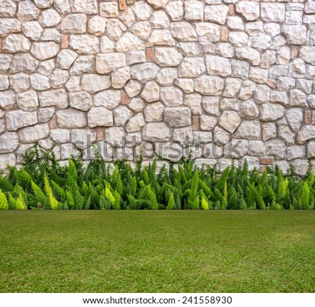 Stone wall and fox-tail with Green field