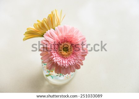 daisy-gerbera in glass vase