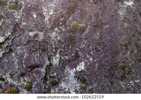 Background: old granite stone overgrown with moss