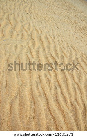 rippled pink desert sand dune face with tracks