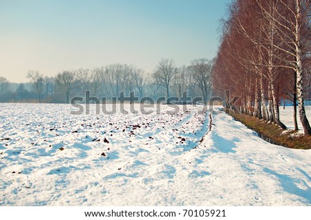 winter creek with birches and snowy field