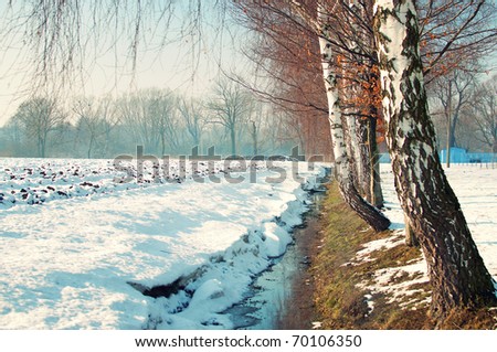 winter creek with birches and snowy field